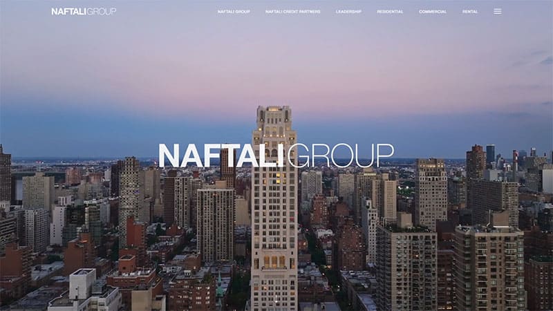Naftali Group website design preview