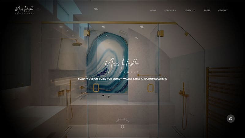 Moses Hershko Development website design preview