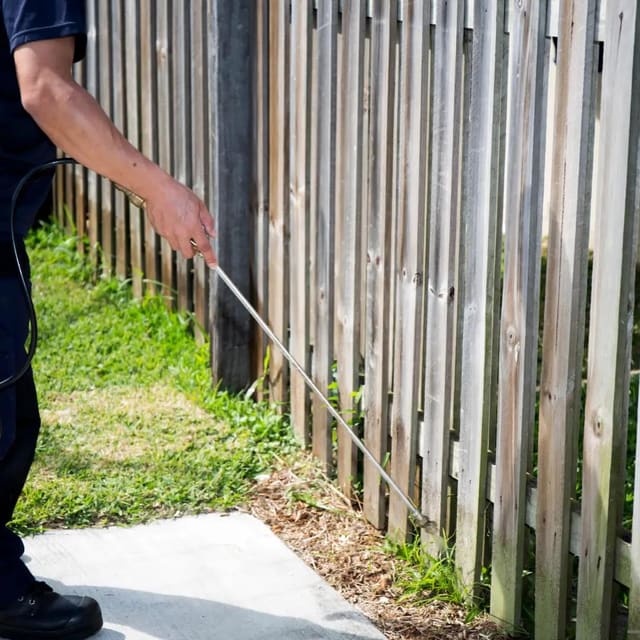 7 Essential Website Features Every Pest Control Company Needs to Book More Jobs
