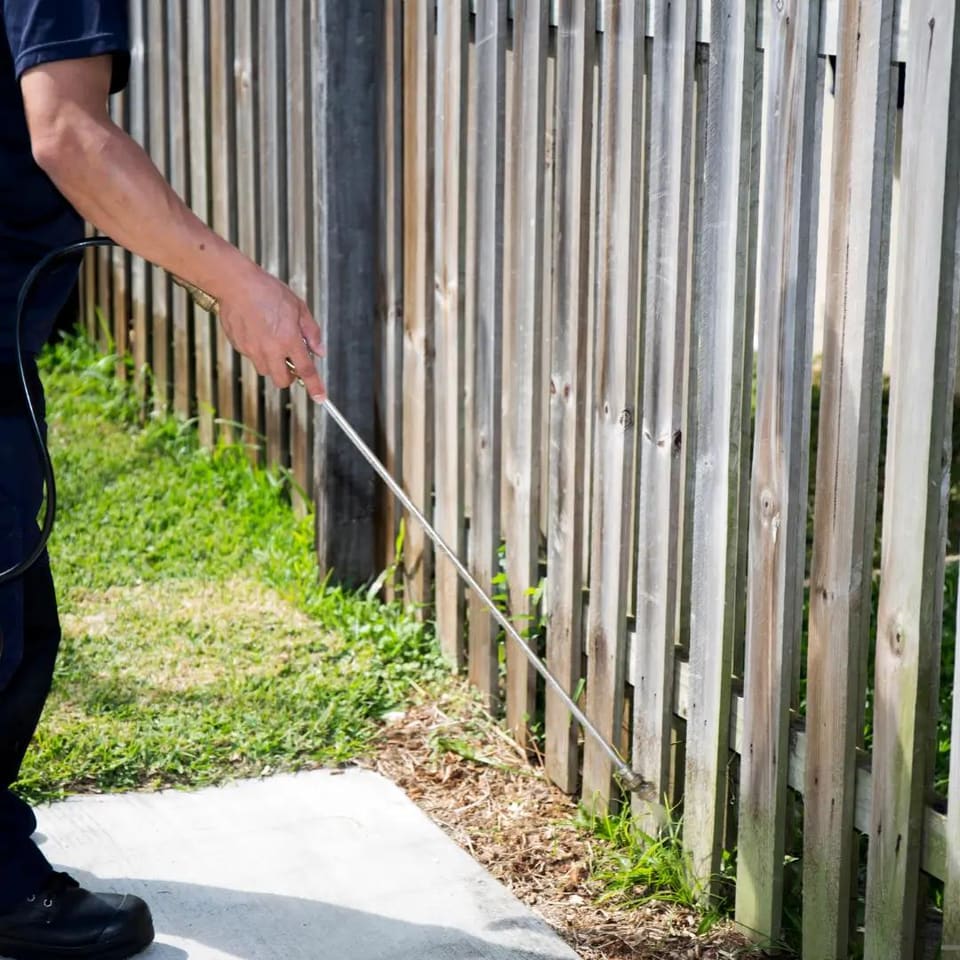 7 Essential Website Features Every Pest Control Company Needs to Book More Jobs